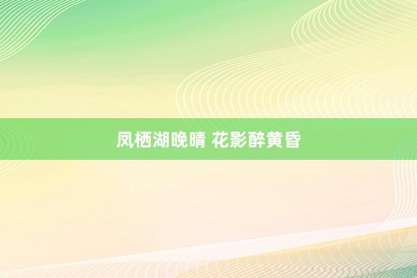 凤栖湖晚晴 花影醉黄昏