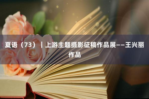 夏语（73）｜上游主题摄影征稿作品展——王兴丽作品